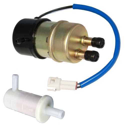 Fuel pump and filter - fuel,
