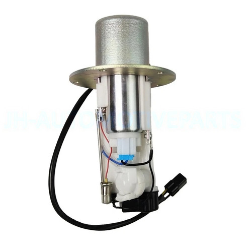 Fuel pump assembly for - fuel,