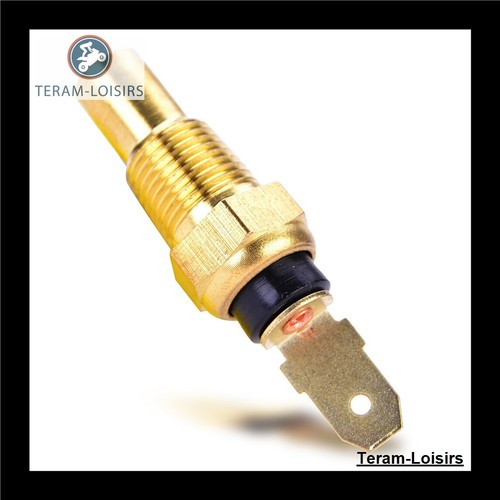 Sonda termostato radiatore - termostato,