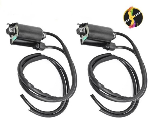 Ignition coil for - 2x,
